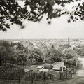 Nieder-Saulheim - (Foto von 19??) Panorama (04)