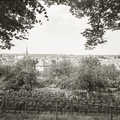 Nieder-Saulheim - (Foto von 19??) Panorama (02)