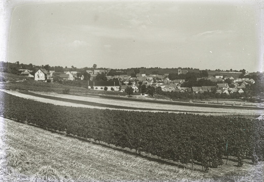 Spiesheim - (Foto von 1953) Ortspanorama 
