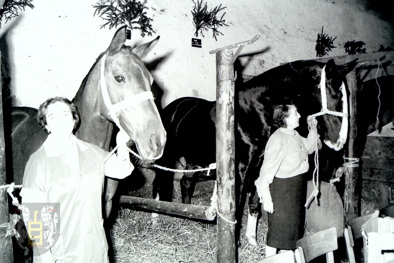 1967_FR359_Reiter_Gau-Odernheim_19.jpg