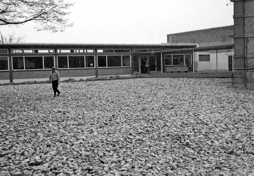 Armsheim - (Foto von 1965) Schule