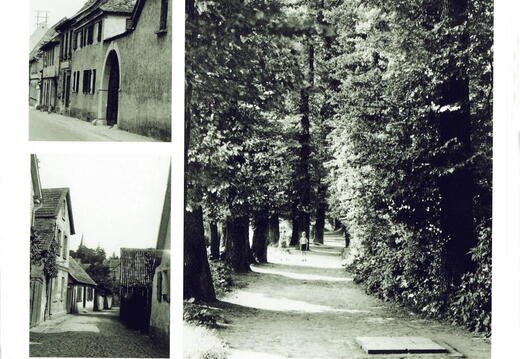 Wörrstadt in den Nachkriegsjahren 1945-65 (12)
