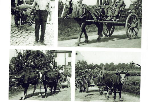 Wörrstadt in den Nachkriegsjahren 1945-65 (14)