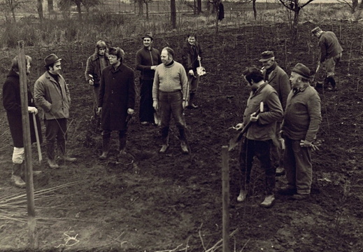 AG Natur und Umweltschutz - (Foto von 1973) Pflanzaktion (3)