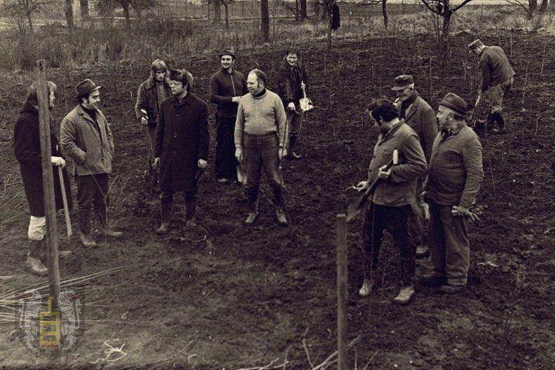 AG Natur- Umwelt - (Foto von 1974) Pflanzaktion (3).jpg