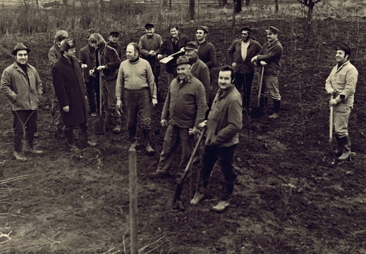 AG Natur und Umweltschutz - (Foto von 1973) Pflanzaktion (2)