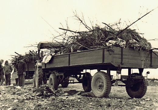 AG Natur- und Umweltschutz - (Foto von  1974) 1. Entrümpelungsaktion (07)