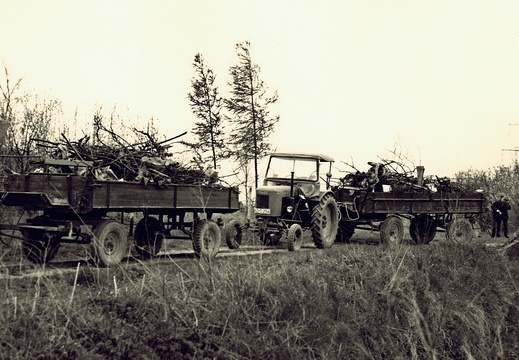 AG Natur- und Umweltschutz - (Foto von  1974) 1. Entrümpelungsaktion (08)