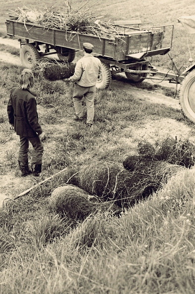 AG Natur- Umwelt - (Foto von  1874) Entrümpelungsaktion (05).jpg