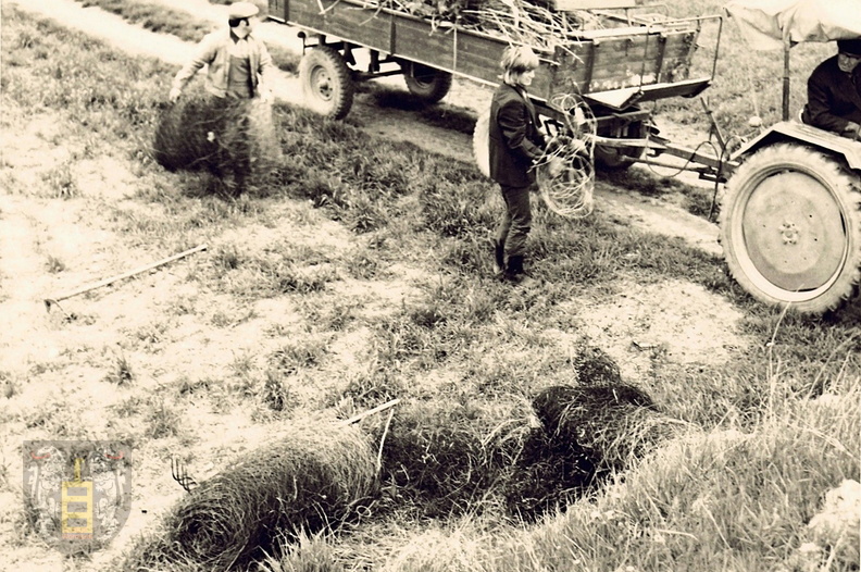 AG Natur- Umwelt - (Foto von  1874) Entrümpelungsaktion (06).jpg