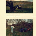 Sauwiese - (Foto von 1993) Versetzen einer Steinkauzbrut (1)