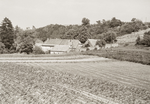 Wendelsheimer Mühlen