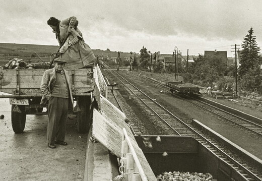 Saulheim - (Foto von 1958) Abladen von Zuckerrüben am Bahnhof (03)