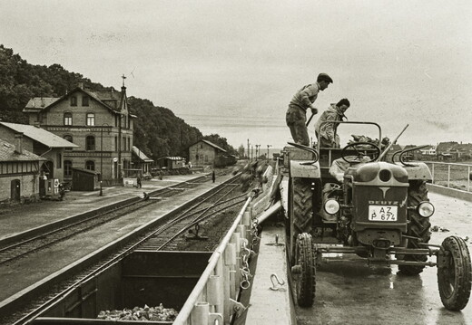 Saulheim - (Foto von 1958) Abladen von Zuckerrüben am Bahnhof (01)