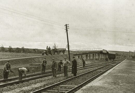 Saulheim - (Foto von 1958) Abladen von Zuckerrüben am Bahnhof (06)