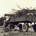 AG Natur- und Umweltschutz - (Foto von 1974) 1. Entrümpelungsaktion (07)