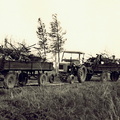 AG Natur- und Umweltschutz - (Foto von 1974) 1. Entrümpelungsaktion (08)