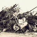 AG Natur- und Umweltschutz - (Foto von 1974) 1. Entrümpelungsaktion (04)