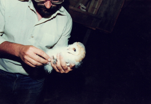 Naturschutz in Armsheim