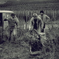 DBV - (Foto von 1988) Pflegeeinsatz Siefersheimer Horn (03)