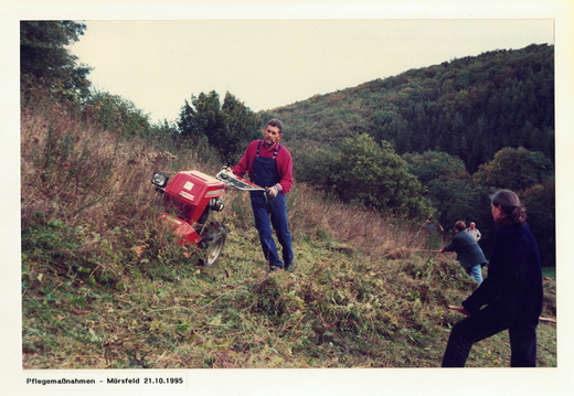 NABU Alzey und Umgebung (1995) Arbeitseinsatz 