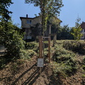 Gemeinschaftsbild - (Foto von 2026) "Heinrichbaum"